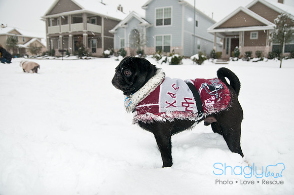 Snow Day-1005