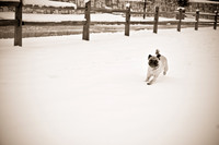 Snow Day-1183