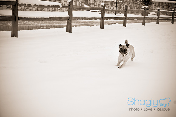 Snow Day-1183