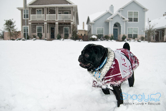 Snow Day-1032
