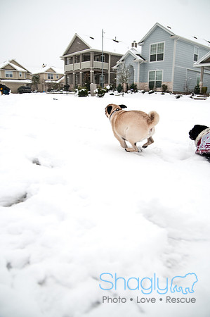 Snow Day-0959