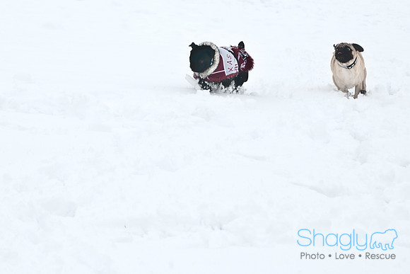 Snow Day-1226