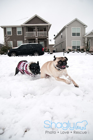 Snow Day-0932