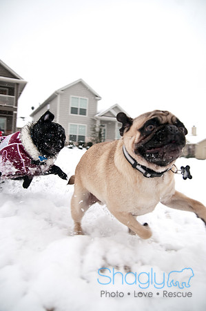 Snow Day-0933