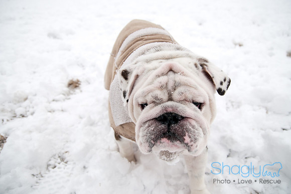 Snow Day-0982