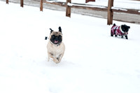 Snow Day-1197