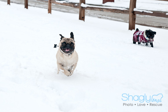 Snow Day-1197