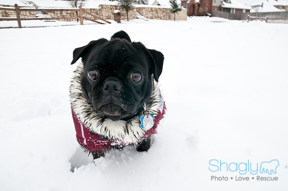 Snow Day-1322