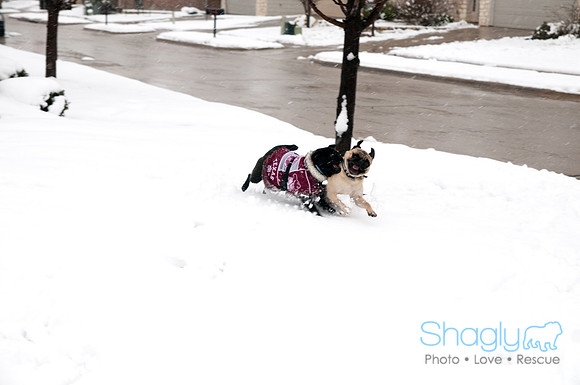Snow Day-0891