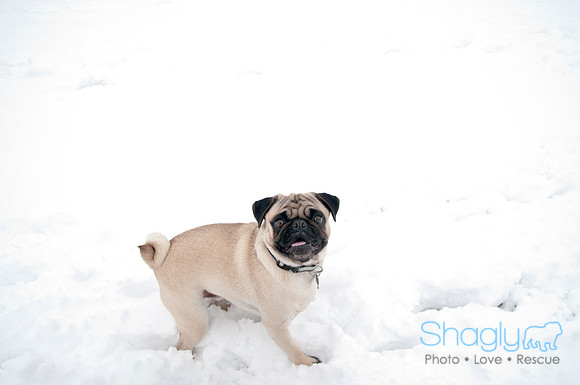 Snow Day-1266