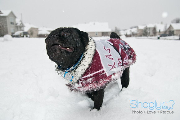 Snow Day-1022