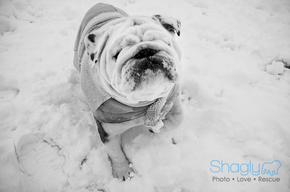 Snow Day-0980