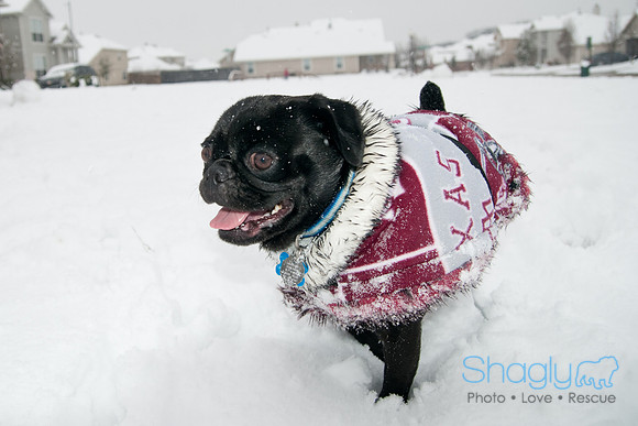 Snow Day-1020
