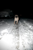 Snow Day-1153
