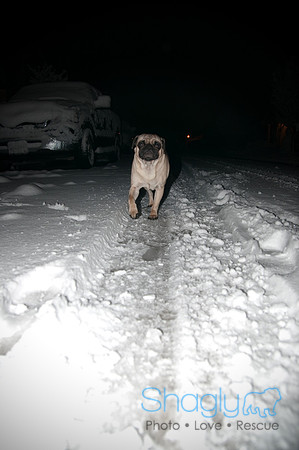 Snow Day-1153