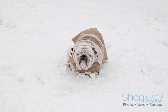 Snow Day-0904