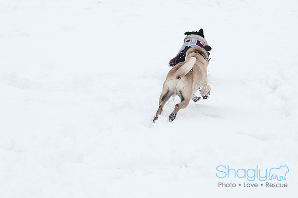 Snow Day-1223
