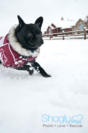 Snow Day-1230