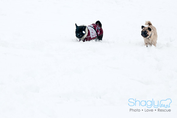 Snow Day-1227