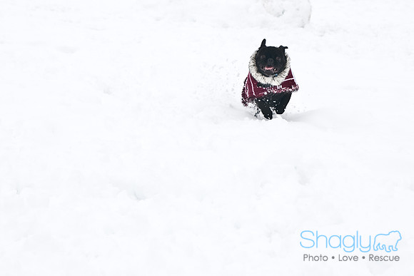 Snow Day-1263