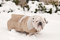 Snow Day-1158