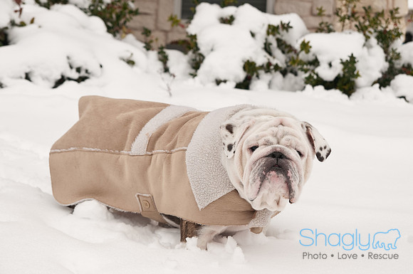 Snow Day-1158