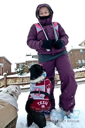 Snow Day-1190