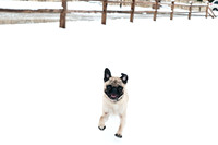 Snow Day-1186