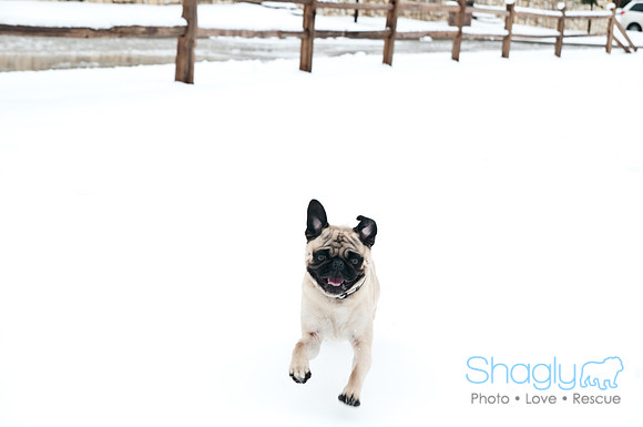 Snow Day-1186