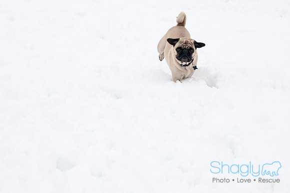 Snow Day-1262