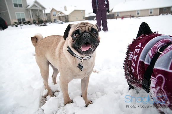 Snow Day-0998