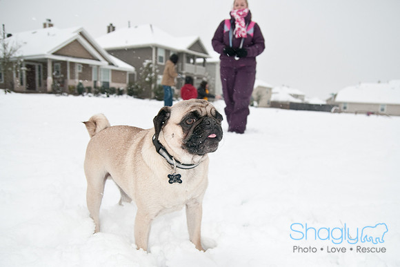 Snow Day-1019