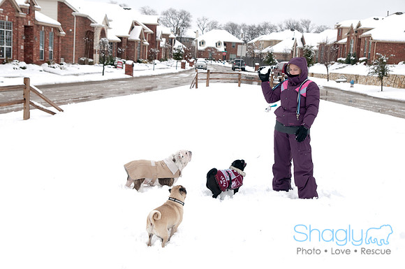 Snow Day-1268