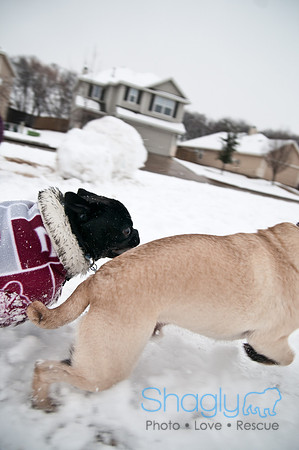 Snow Day-0930