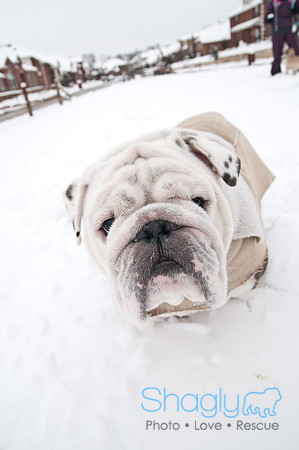 Snow Day-1297