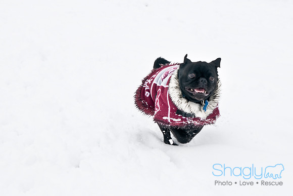 Snow Day-1265