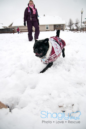 Snow Day-0944