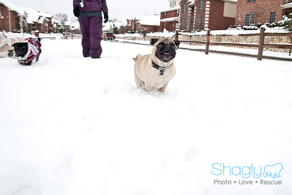 Snow Day-1252