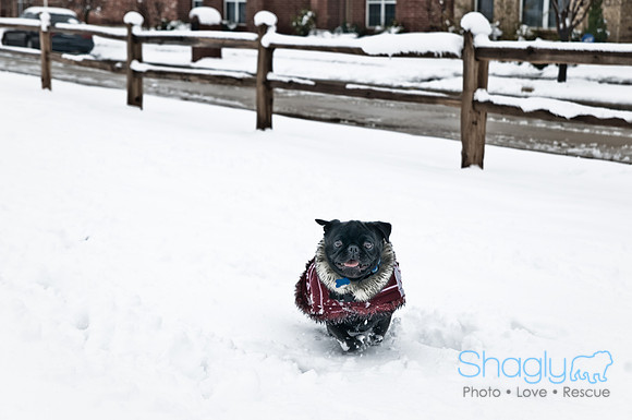 Snow Day-1203