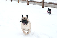 Snow Day-1199