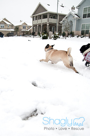 Snow Day-0960