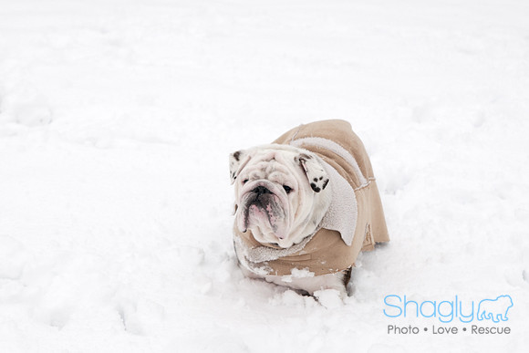 Snow Day-0905