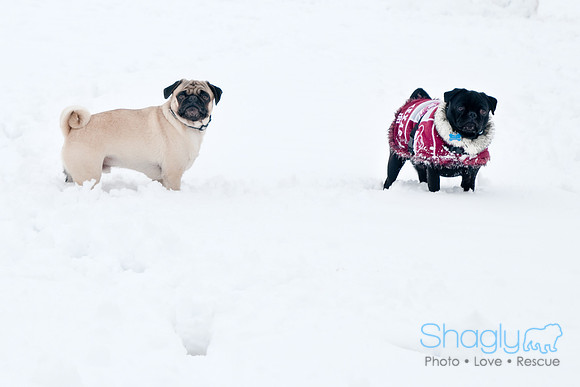 Snow Day-1194