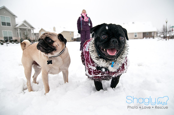 Snow Day-1001