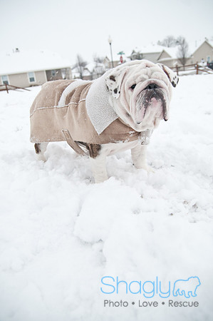 Snow Day-1093