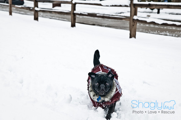 Snow Day-1204