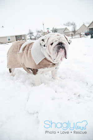 Snow Day-1092