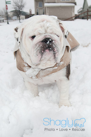 Snow Day-1037