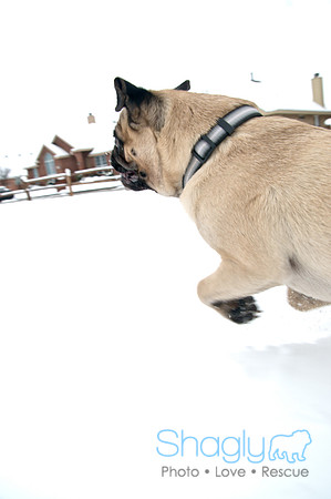 Snow Day-1236