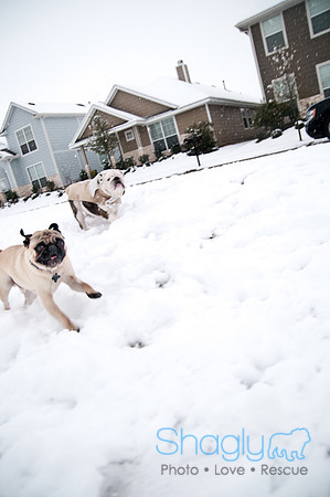 Snow Day-1081